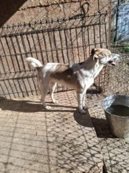 Nina 46 cm (Pflegestelle)