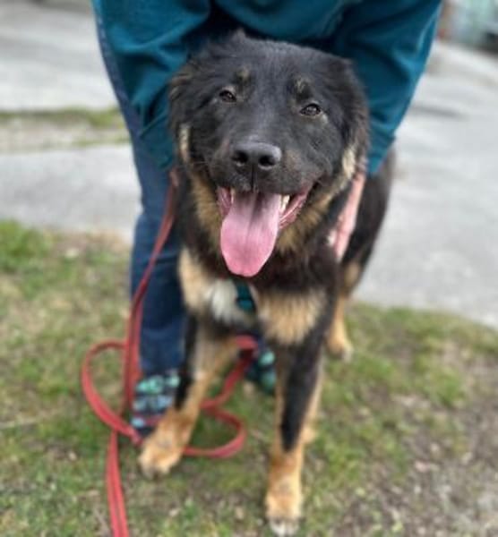 Jimis sucht seine Menschen