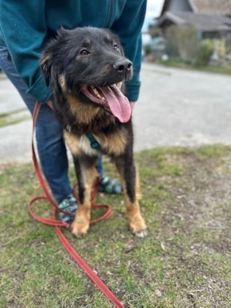 Jimis sucht seine Menschen