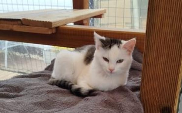 Leni - immer gut gelaunt