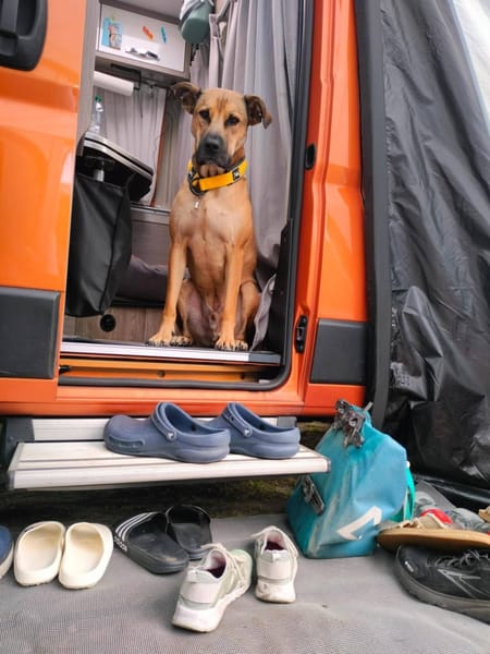 💙 REY 💙 - AUF PS IN DEUTSCHLAND