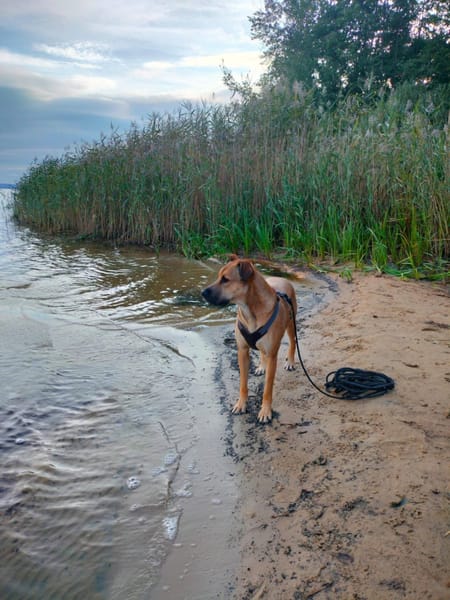 💙 REY 💙 - AUF PS IN DEUTSCHLAND