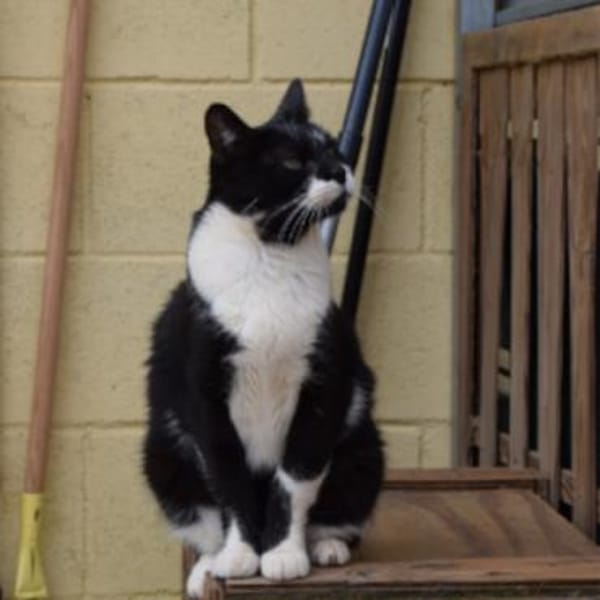 Muriel wartet schon sooo lange!