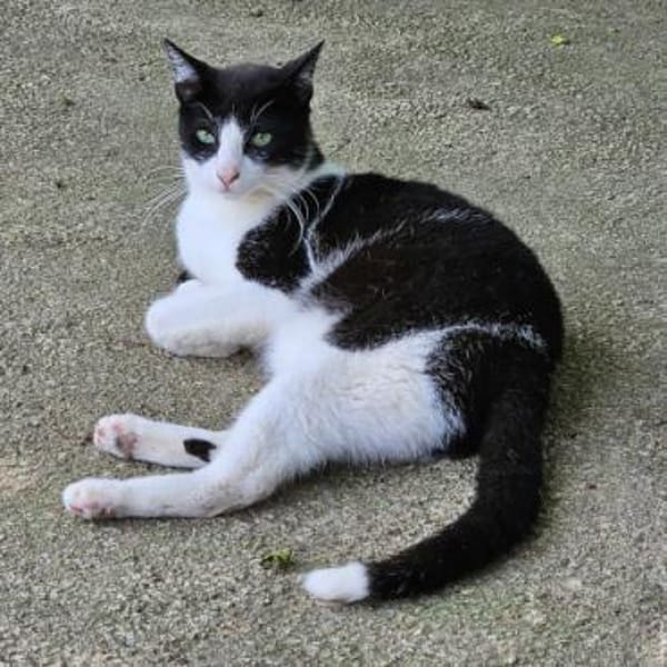 Marylin möchte endlich ankommen