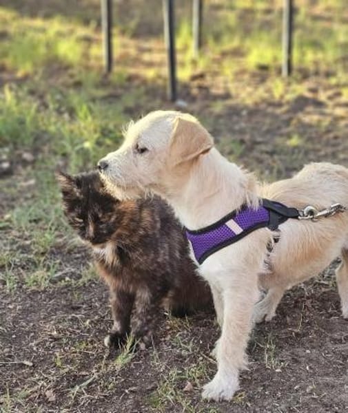 Jasny ist aktiv und neugierig