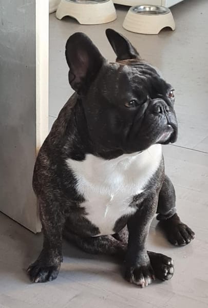 MICKY sucht besondere Menschen