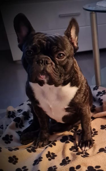 MICKY sucht besondere Menschen