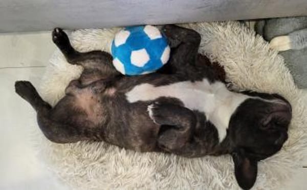 MICKY sucht besondere Menschen