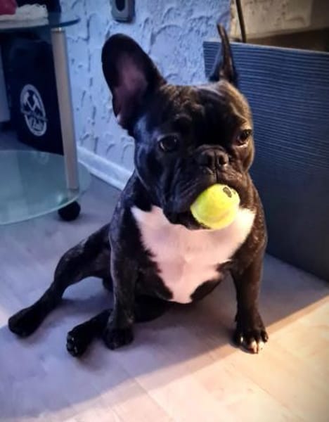 MICKY sucht besondere Menschen