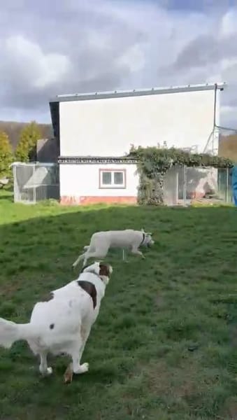 Lui sucht Menschen mit Erfahrung