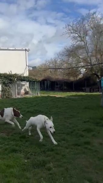 Lui sucht Menschen mit Erfahrung