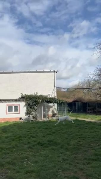 Lui sucht Menschen mit Erfahrung