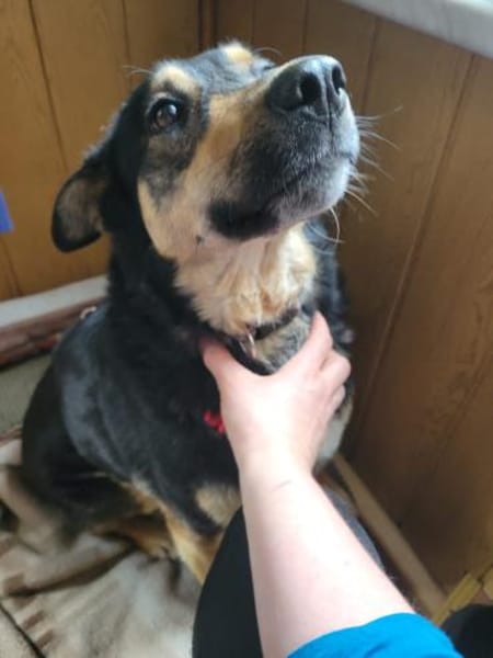 LINA 💛💛💛 sanft und liebenswert