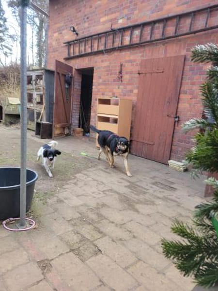 LINA 💛💛💛 sanft und liebenswert