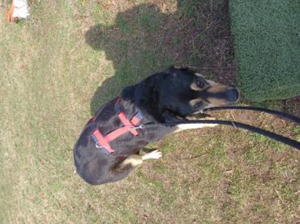 LINA 💛💛💛 sanft und liebenswert