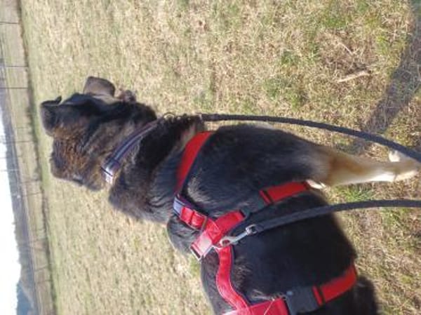 LINA 💛💛💛 sanft und liebenswert