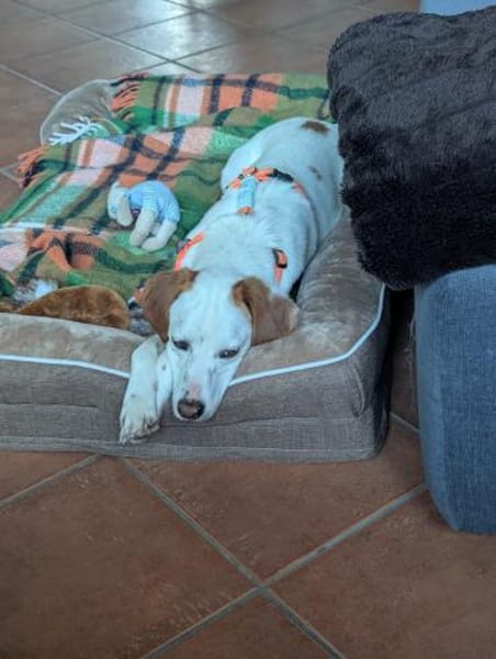 Smitty-freundlich und zugänglich