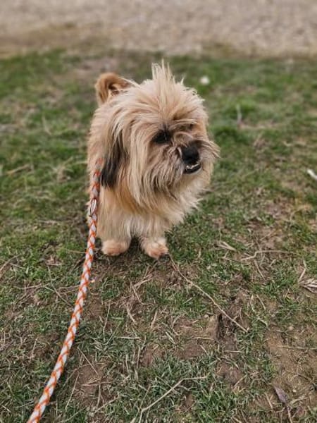 ‼Locki wartet auf sein zweites Glück‼