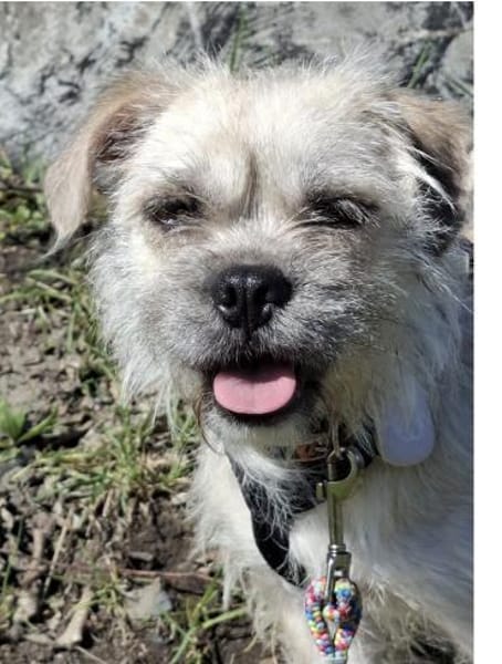 Kamilla in  45711 Datteln