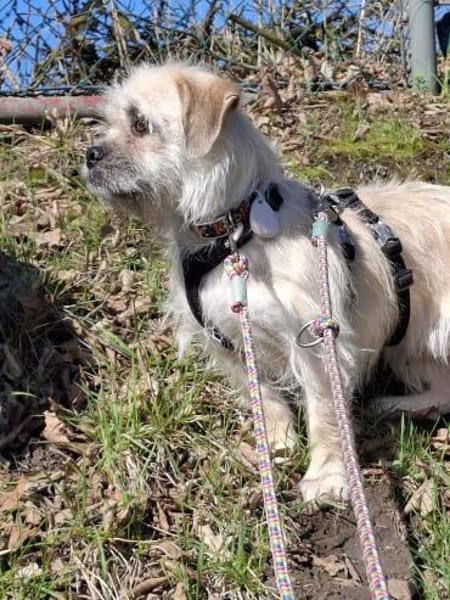 Kamilla in  45711 Datteln