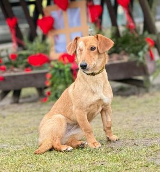 Effy°  in 64546 Mörfelden