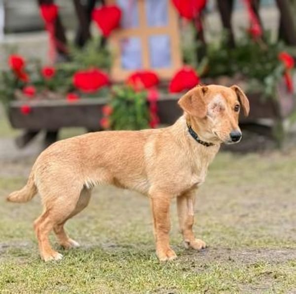 Effy°  in 64546 Mörfelden