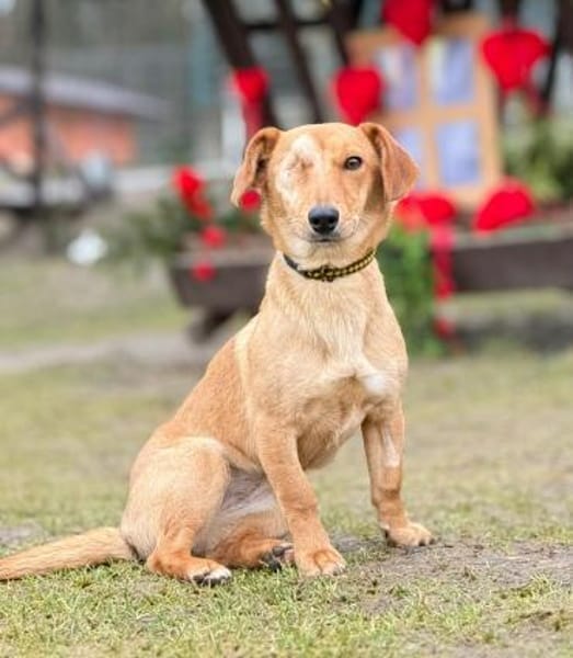 Effy°  in 64546 Mörfelden