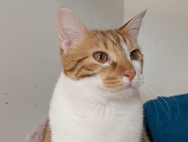 ASLAN A17359 (réservé)