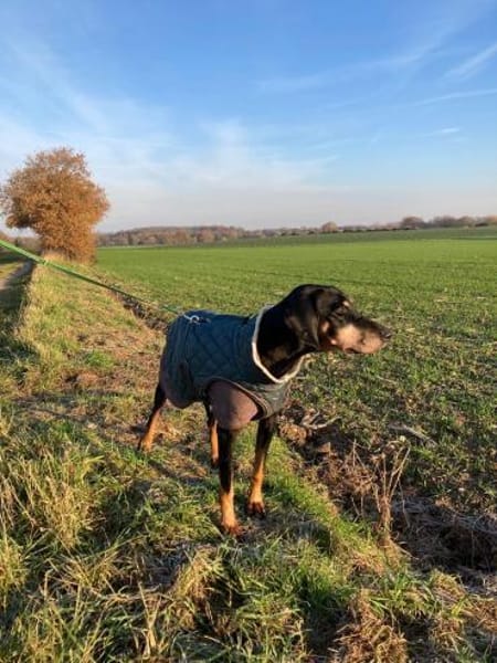 Gina sucht ihre für immer Familie!