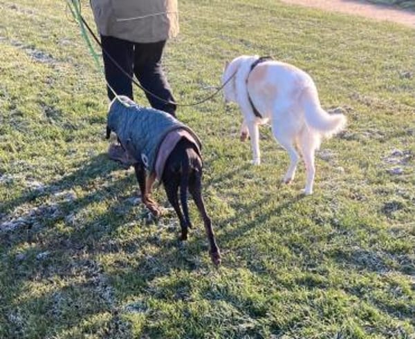 Gina sucht ihre für immer Familie!