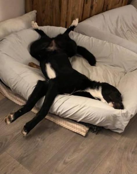 LENE * Ideenreiches Schlauköpfchen