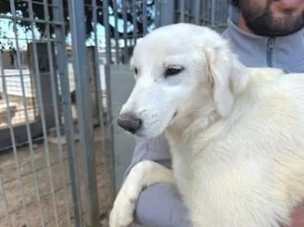 LOREDANA kämpft für ihre Zukunft