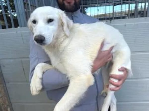 LOREDANA kämpft für ihre Zukunft