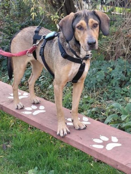 Lara sucht ihre für immer Familie!