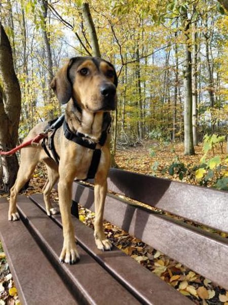 Lara sucht ihre für immer Familie!