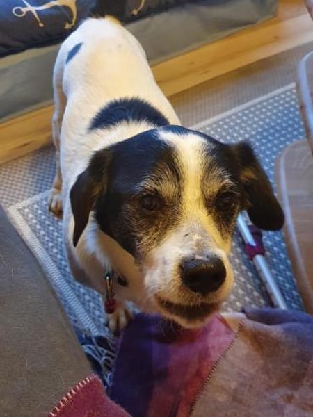 TILU * liebt es gemütlich und ruhig