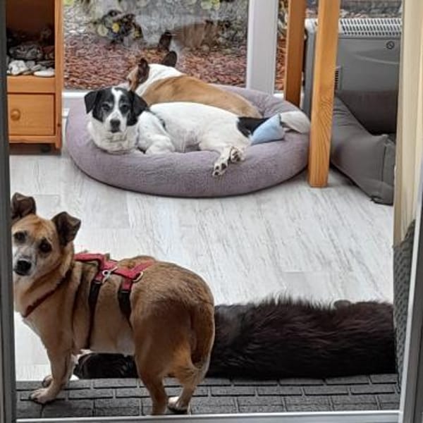 TILU * liebt es gemütlich und ruhig