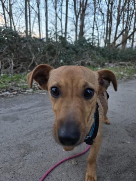 Luna° in 44379 Dortmund