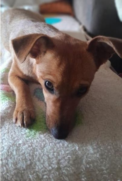 Luna° in 44379 Dortmund