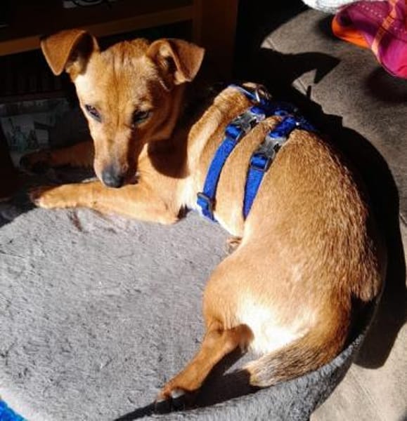 Luna° in 44379 Dortmund