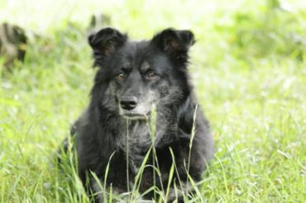 RENI ** gemütlich brav verträglich