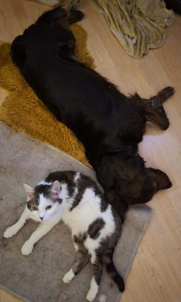 AKKI - sportlich aktiv und klug