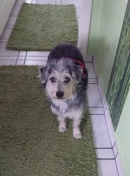 💙Pitypang - vorsichtig aber neugierig💙