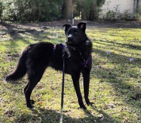 Whoopi - eine vorsichtige Beobachterin