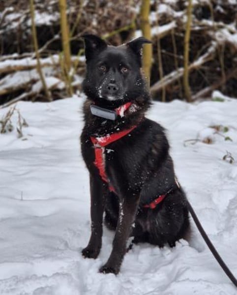 Whoopi - eine vorsichtige Beobachterin