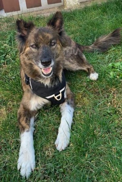 STELLA 🔥 fitte best Agerin