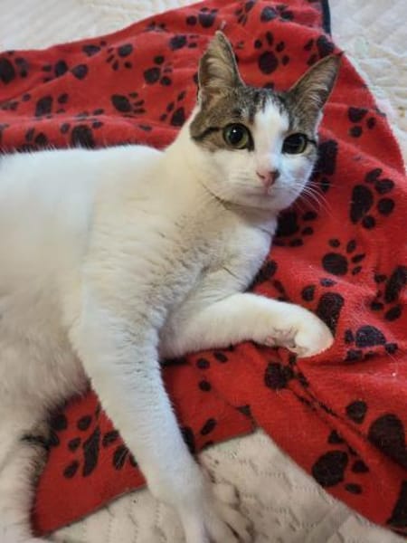 Xara & Zoi suchen ihr Für-immer-Zuhause