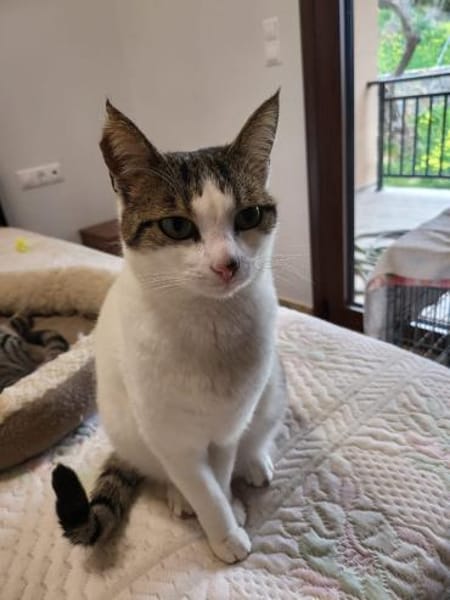 Xara & Zoi suchen ihr Für-immer-Zuhause