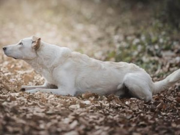 Baran möchte Ihre Familie bereichern?