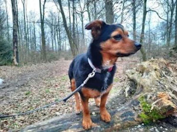 TIERRA - ab Februar auf PS in Duisburg